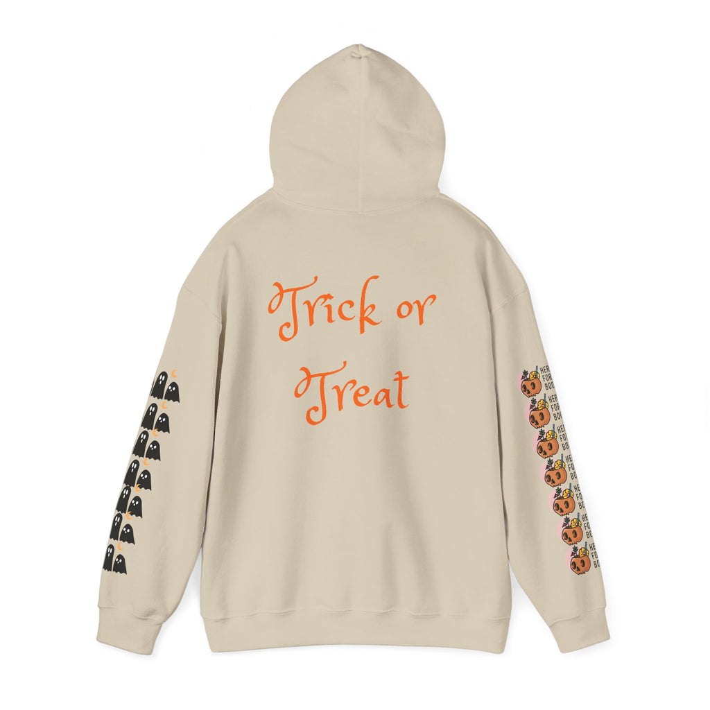 Halloween Hoodie – “All Hallows’ (hey Boo Eve)” Trick or Treat Pullover