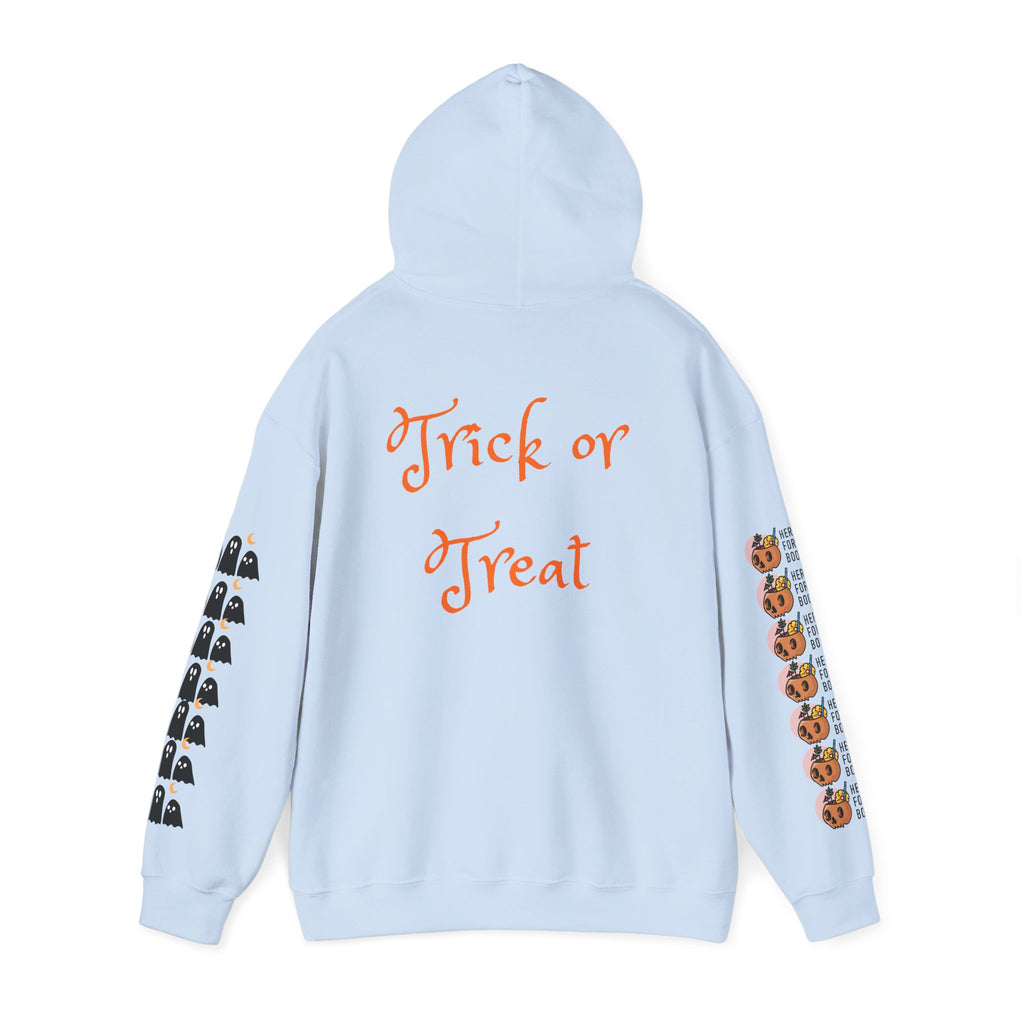 Halloween Hoodie – “All Hallows’ (hey Boo Eve)” Trick or Treat Pullover