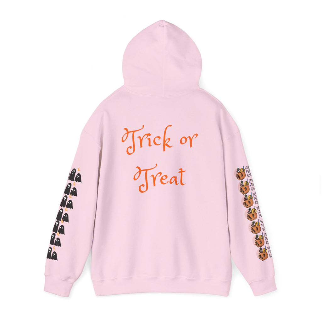 Halloween Hoodie – “All Hallows’ (hey Boo Eve)” Trick or Treat Pullover